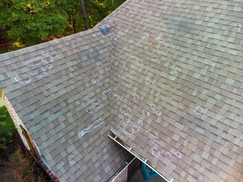 Asphalt Roof Inspection in Friendsville, MD