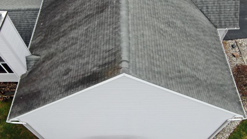 Asphalt Roof Inspection in Oakland, MD
