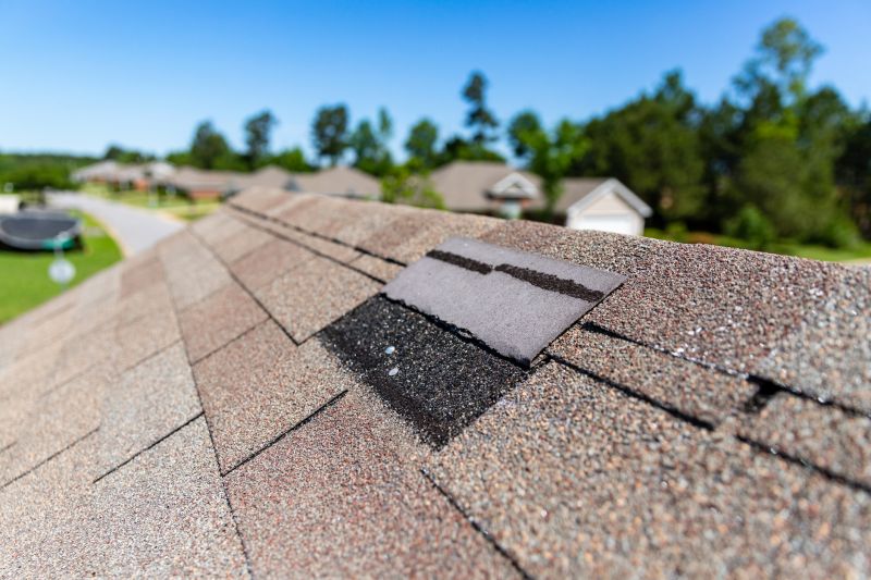 Asphalt Roof Leak Repair in Oakland, MD