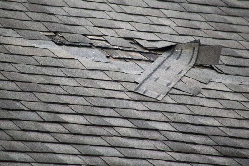 Asphalt Roof Repair in Kingwood, WV
