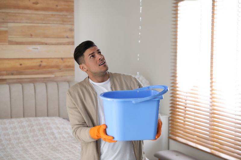 Bedroom Leak Repair in Garrett County, MD