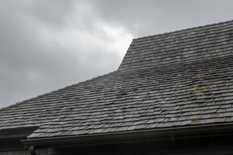 Cedar Roof Replacement in Kingwood, WV
