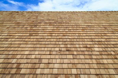 Cedar Shingles Replacement in Davis, WV
