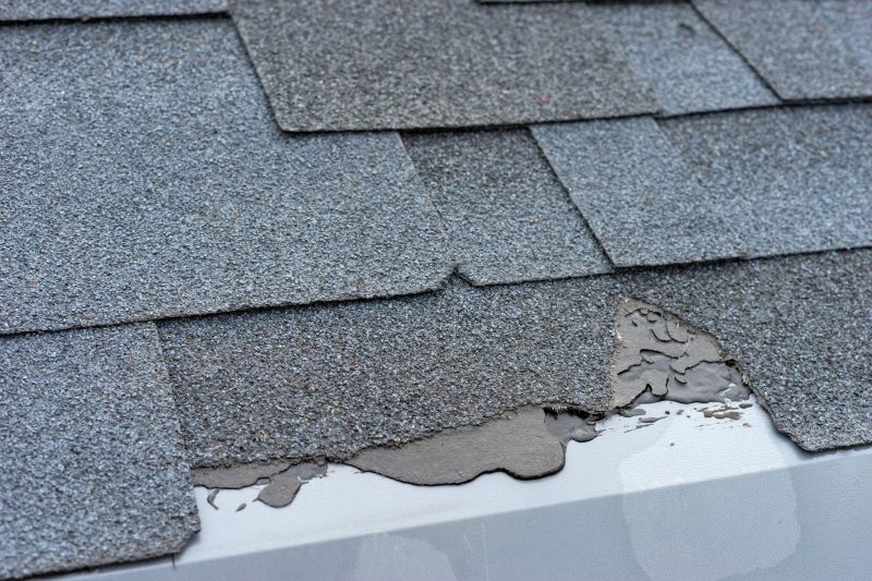 Damaged Roof Repair in Friendsville, MD