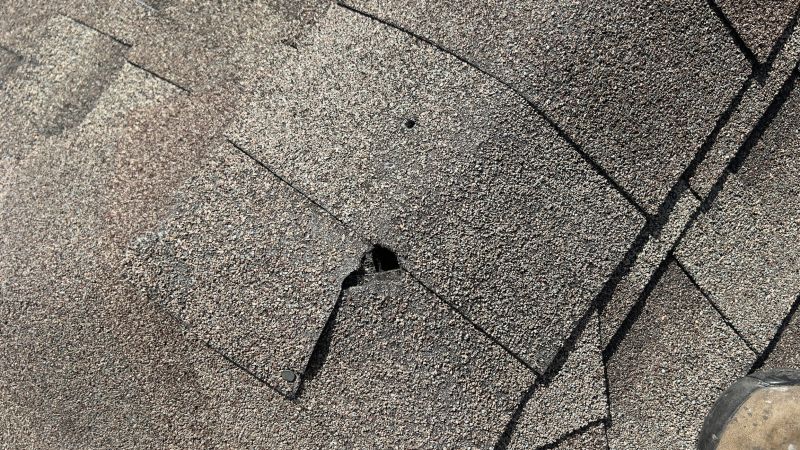 Damaged Roof Repair in Keyser, WV