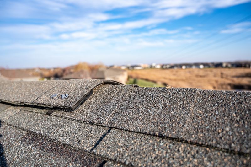 Damaged Roof Repair in Oakland, MD