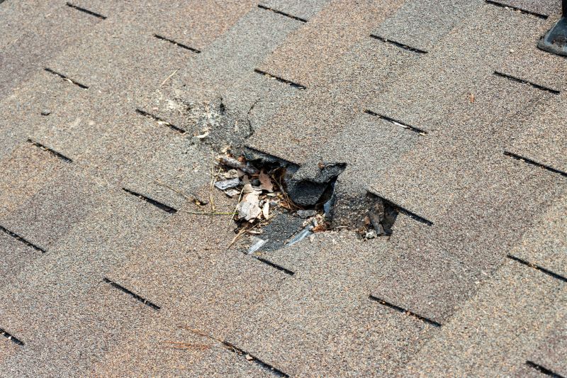 Damaged Roof Replacement in Swanton, MD