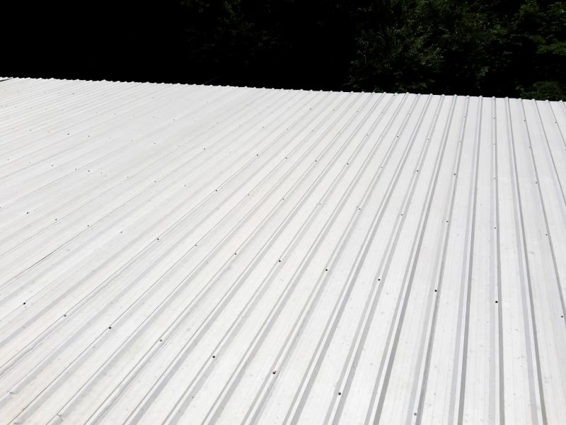 Galvanized Roof Repair in Garrett County, MD