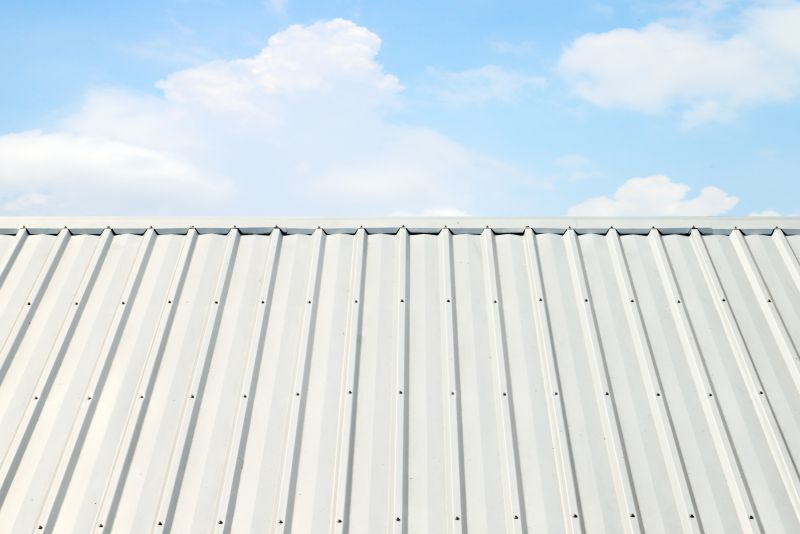 Metal Roof Coating Installation in Garrett County, MD