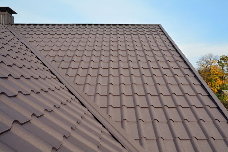 Metal Roof Installation in Oakland, MD