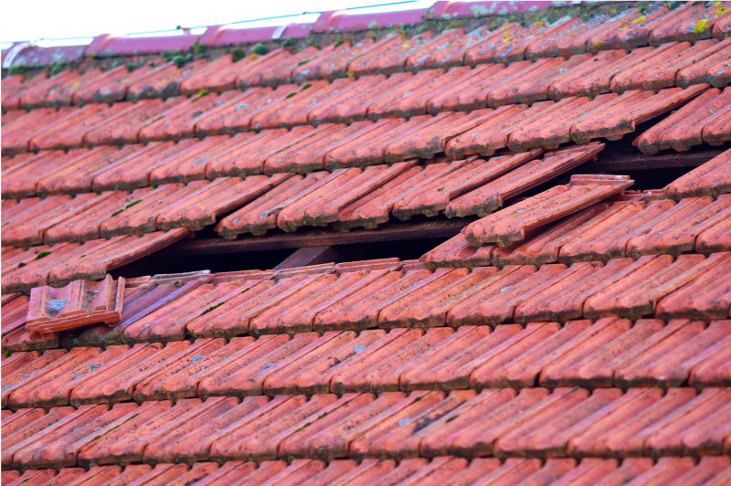 Roof Damage Inspection in Garrett County, MD