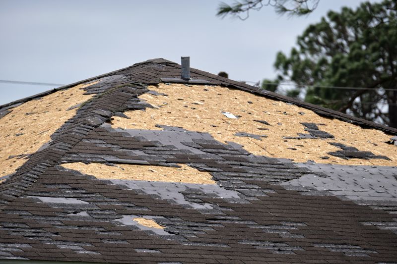 Roof Damage Repair in New Creek, WV