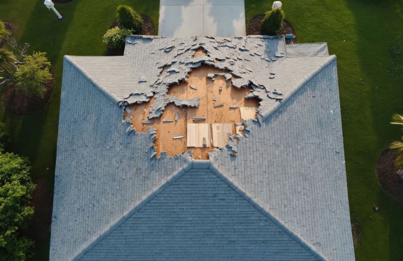 Roof Damage Repair in New Creek, WV