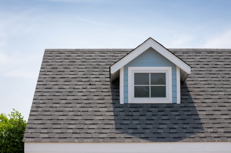Roof Patching Service in Garrett County, MD