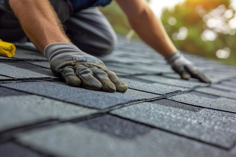 Shingles Repair in Swanton, MD