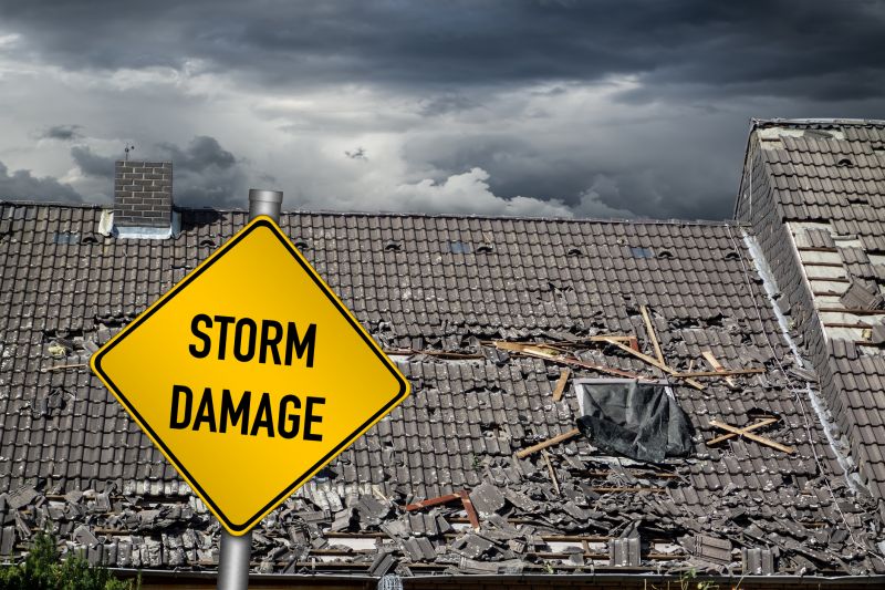 Storm Damage Roof Repair in Davis, WV